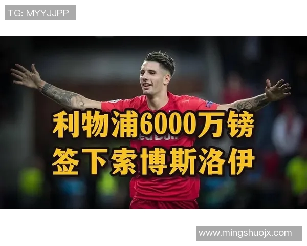 探秘索博斯洛伊的历史与文化遗产,感受其独特魅力与现代发展之路 探秘索博斯洛伊的历史与文化遗产,感受其独特魅力与现代发展之路