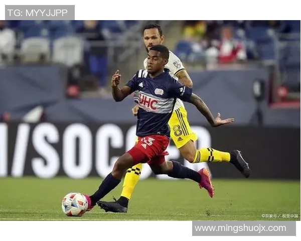 新英格兰对阵温哥华比赛前瞻及胜负预测分析