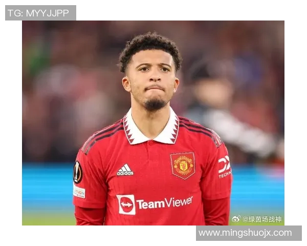 桑乔在绿茵场上的崛起与挑战：从天才少年到足球巨星的奋斗历程