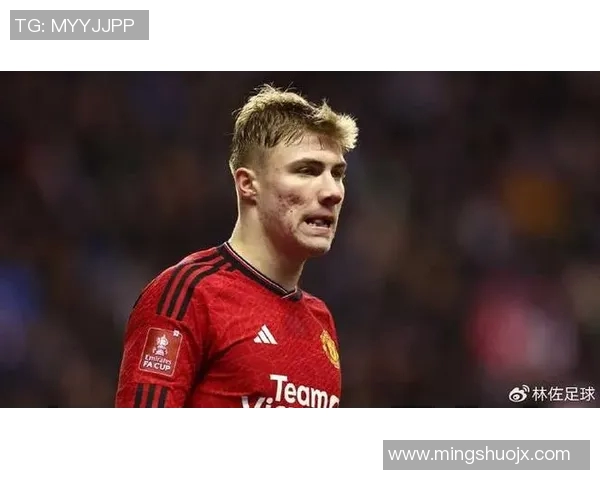 霍伊伦的传奇人生与不凡成就探秘之旅