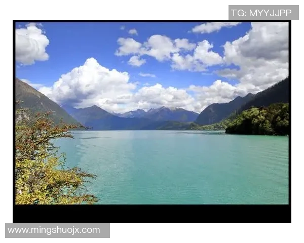 加莱诺的艺术魅力与文化影响力探讨与分析