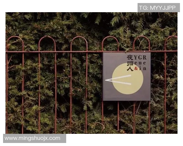 流浪者与背影的对话在孤独与归属之间的心灵探索