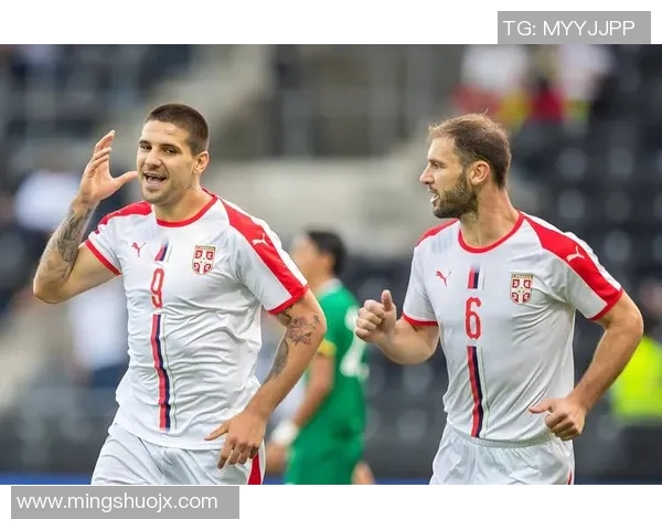 阿根廷与塞尔维亚精彩对决全场录像回放及精彩瞬间分析