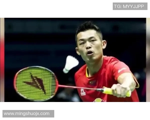 林丹与谌龙2014年巅峰对决揭示羽毛球世界的荣耀与挑战